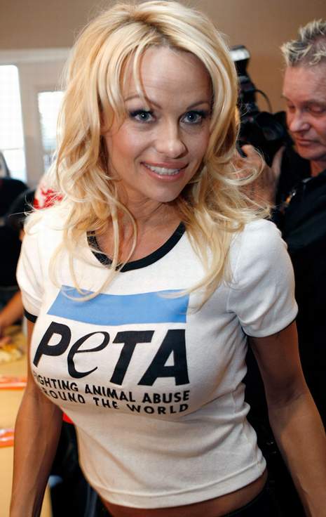 Pamela Anderson Hairstyles