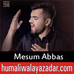 https://www.humaliwalayazadar.com/2018/05/mesum-abbas-ramzan-noha-2018.html