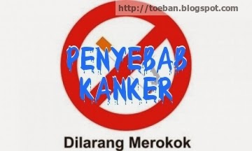 Apa Penyebab Kanker?