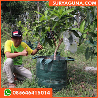 planter bag dari suryaguna 085646415014