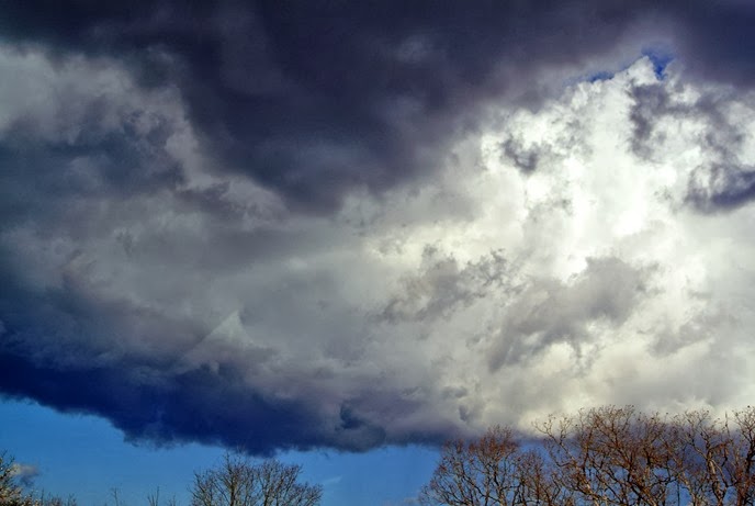 DSC_1153
