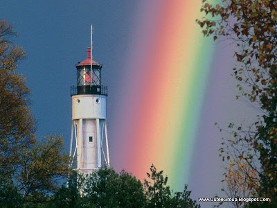 Amazing Rainbows