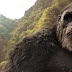 Godzilla vs Kong Release Date