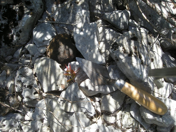 LES FRAGMENTS DES RESTANQUES