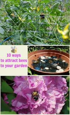 How to attract bees to garden