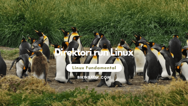 Direktori run Linux