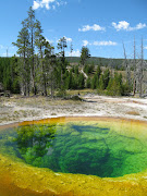 Yellowstone Nat'l Park, Part I: The Upper Geyser Basin . (yellowstonetetons )