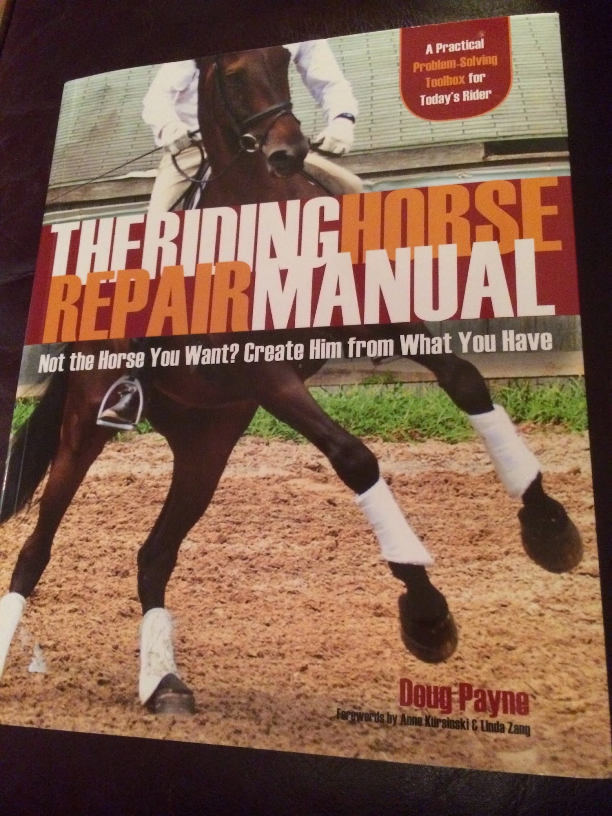 Riding Rainbow Book Review The Riding Horse Repair Manual