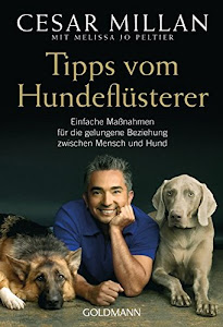 Tipps vom Hundeflüsterer: Einfache Maßnahmen für die gelungene Beziehung zwischen Mensch und Hund