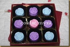 Coklat 16.3.2011 064