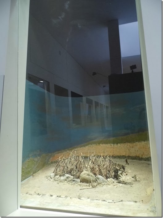 Deutsches Architekturmuseum