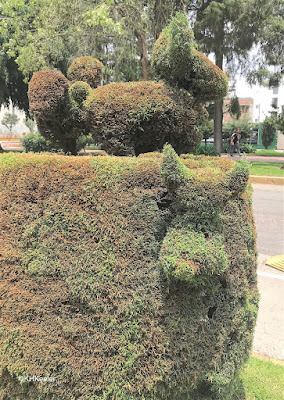 hedge with animal heads