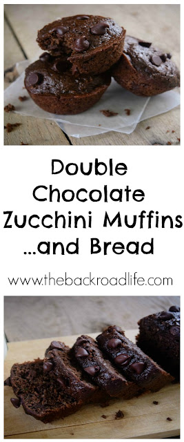  So delicious, moist, and chocolaty! This double chocolate zucchini muffin recipe is a great way to use zucchini in the garden! Make bread too!