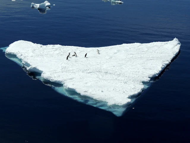 antartida-ou-antartica