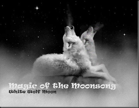 Magic of the Moonsong