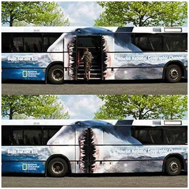 Funny Bus Images