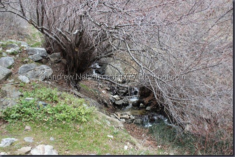 IMG_2390 IMG_2390