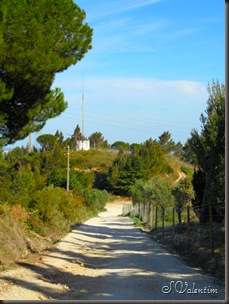SAM_0359
