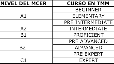 DIRECTRICES INICIO DEL PROCESO DE FORMACION - PROGRAMA DE IDIOMAS.