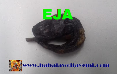 EJA