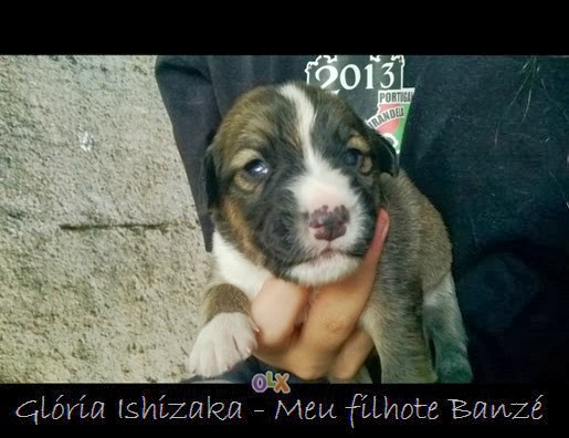 BANZÉ 21