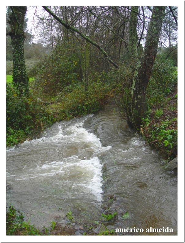 ribeira_da_mota_americo_almeida_16012010