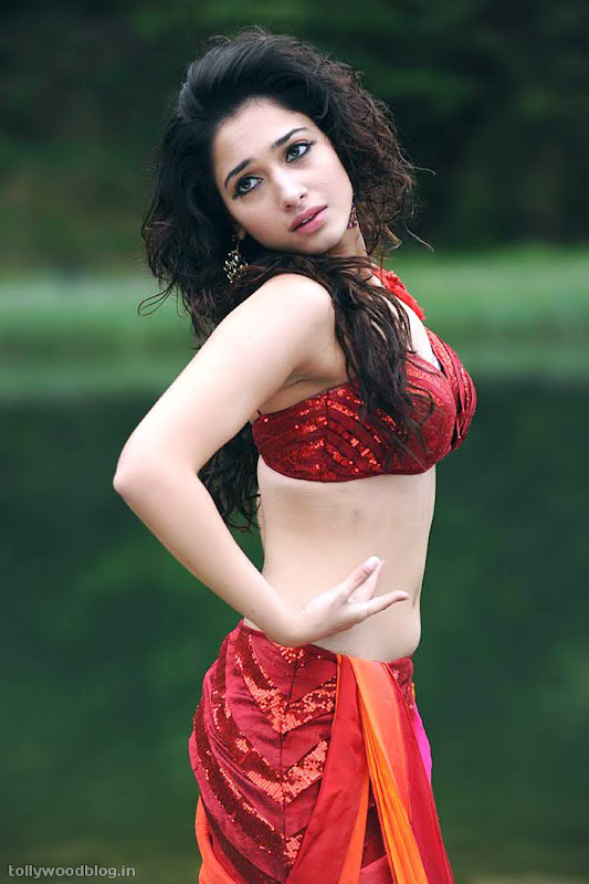 Tamanna Hot Gallery in Badrinatha Movie Stills cleavage