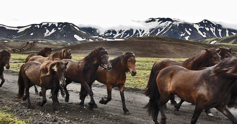 ISLANDIA LANDMANNALAUGAR