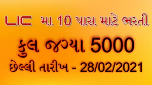 LIC 5000 Assistant Posts Online Form 2020-21 Apply Online