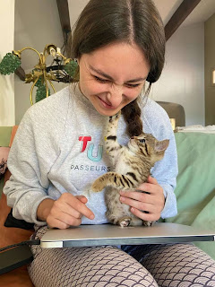 Violinista encuentra una excelente manera de sostener a su gatito y practicar al mismo tiempo