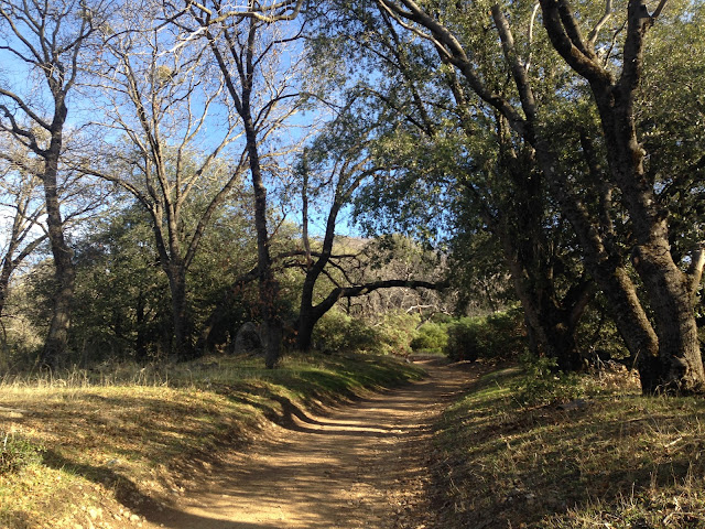 Fall Hike In Southern California