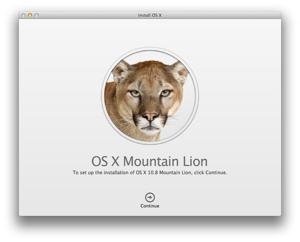 Mountain Lion Installation dialogue