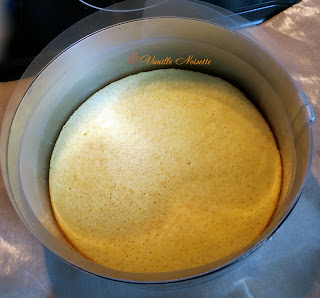 LE NUAGE CITRON le gâteau 