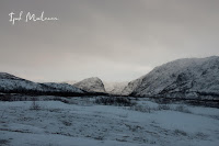 Finnmark, Norveç, Kuzey Işıkları, Aurora Borealis, Bugoynes, Sevettijarvi, Finlandiya, gezi seyahat blog