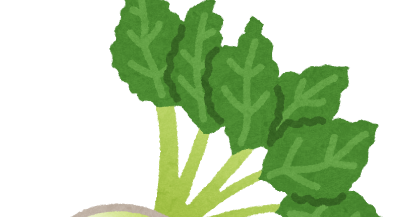 テンサイのイラスト 野菜 かわいいフリー素材集 いらすとや テンサイのイラスト 野菜 かわいいフリー素材集 いらすとや
