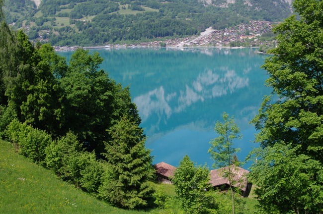 IMGP8760