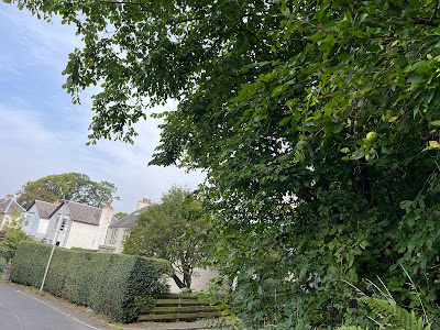 Halcombe Crescent showing apple trees