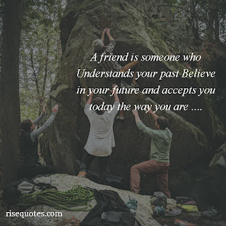 Friendship Quotes With Images