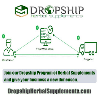 Dropshipping Companies