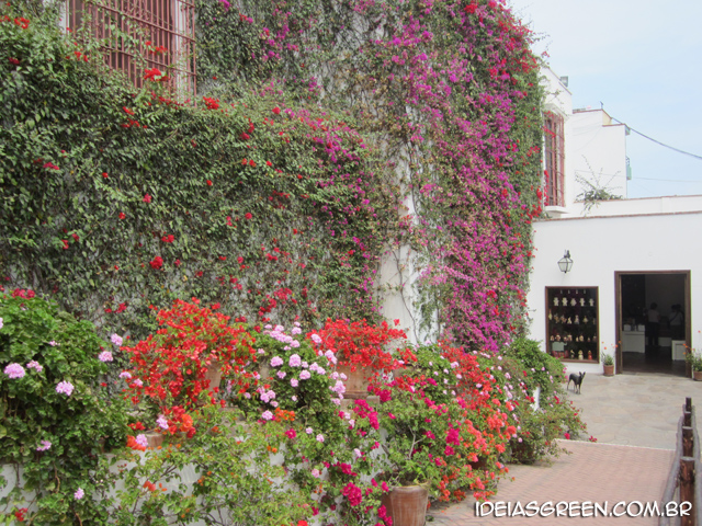 Museu Larco tem um dos jardins mais bonitos do mundo - Perú #3