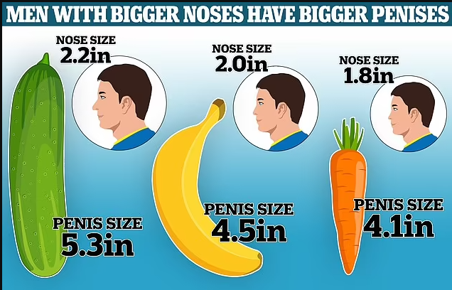 Men With Bigger Noses Have Bigger Penises, Scientists Say After Measuring Male Reproductive Organs Of 126 Male Corpses