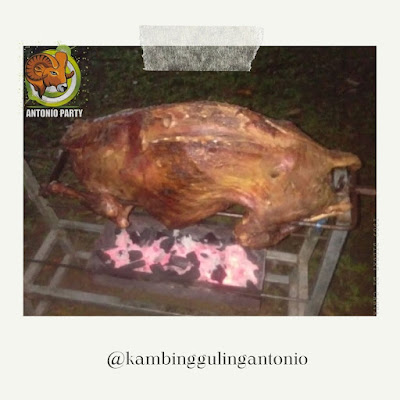 Catering Kambing Guling Lezat Dago Bandung, Catering Kambing Guling Lezat Dago, Catering Kambing Guling,kambing guling dago,kambing guling, Catering Kambing Guling Lezat,