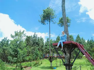 Bukit Melogi Cinta di Desa Clekatakan Kabupaten Pemalang