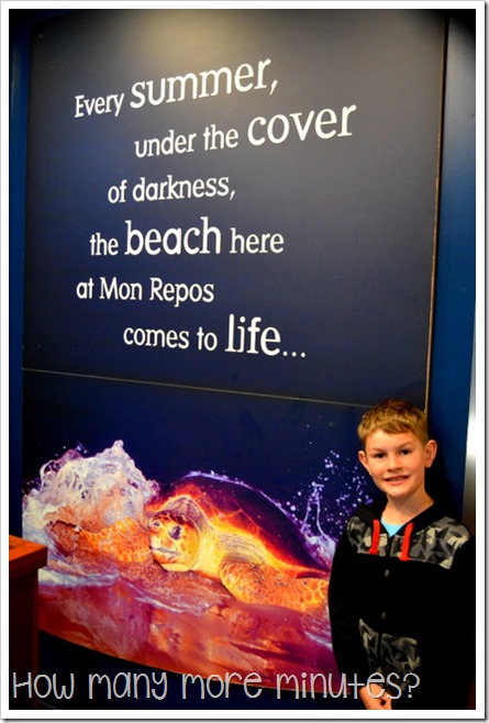 Mon Repos Turtle Centre | How Many More Minutes?