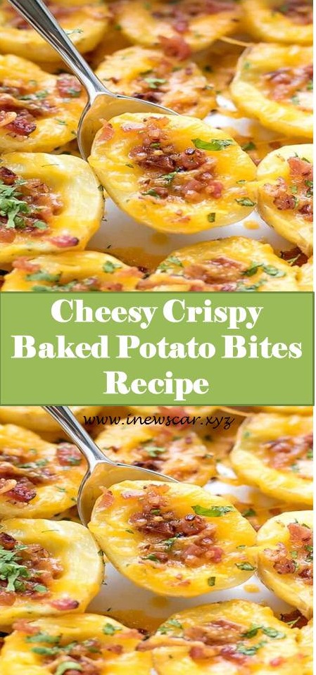 Cheesy Crispy Baked Potato Bites Recipe