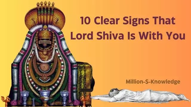 Signs that lord shiva is with you
