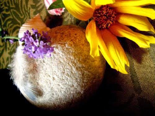Blessings Of The Harvest Moon Dedication