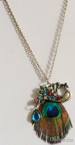 Peacock necklace (6)