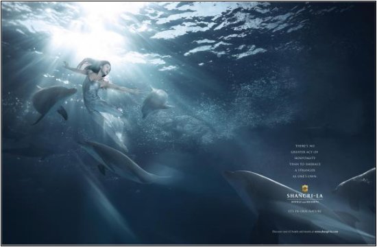 Kind dolphin