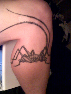 Beautiful Insect Tattoo Art Pictures